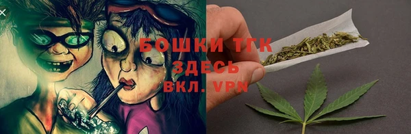 сатива Арсеньев