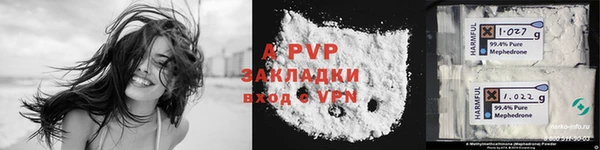 тгк Инсар