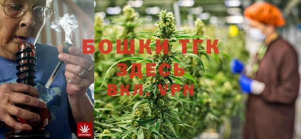 сатива Арсеньев